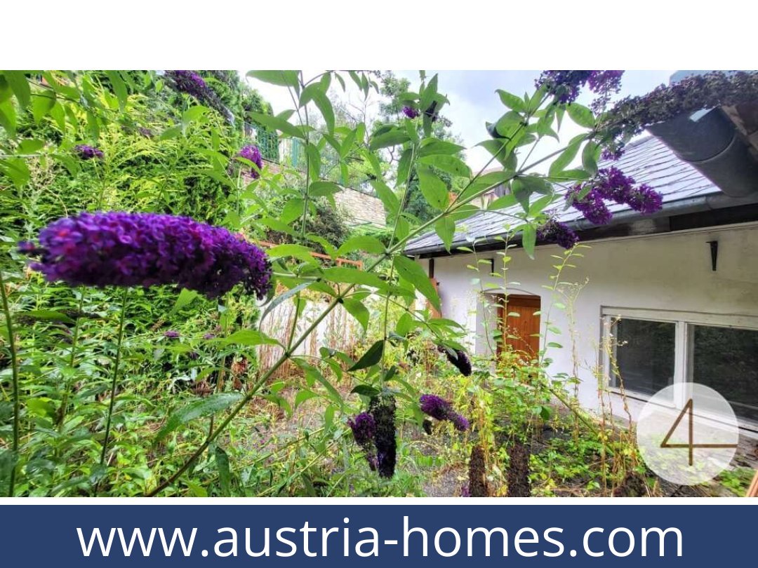 austria-homes-schonberg am kamp-3562-20250919134736-0014701009.jpg
